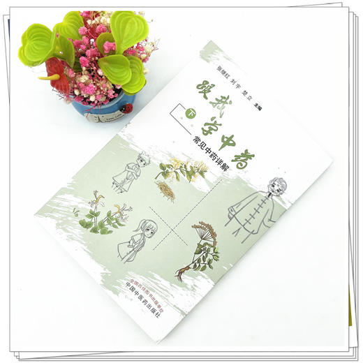 跟我学中药（下）常见中药详解  张继红 刘宇 楚立 著 中国中医药出版社 中药学书籍 商品图2