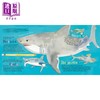 【中商原版】Hello, World! Kids' Guides: Exploring Sharks兰登：你好科学小世界：鲨鱼 英文原版 进口图书 科普知识绘本 商品缩略图2