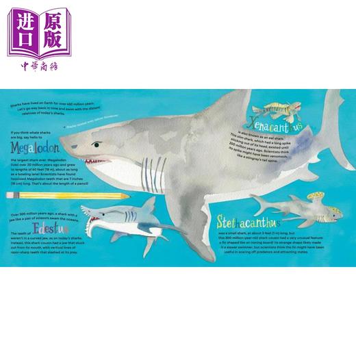 【中商原版】Hello, World! Kids' Guides: Exploring Sharks兰登：你好科学小世界：鲨鱼 英文原版 进口图书 科普知识绘本 商品图2