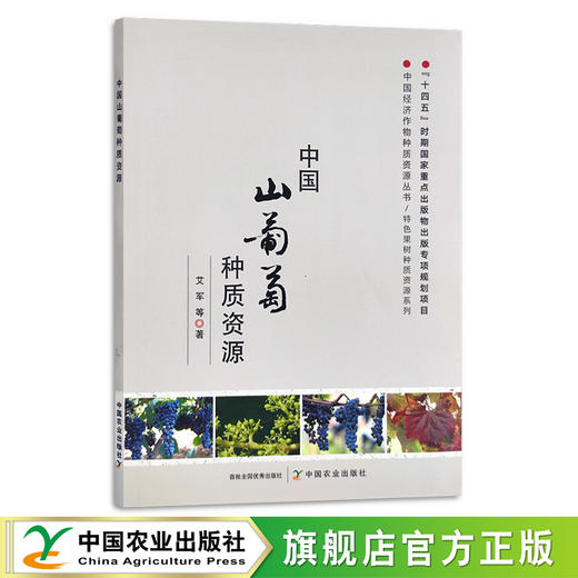 中国山葡萄种质资源 特色果树 中国经济作物 艾军 29839 商品图0