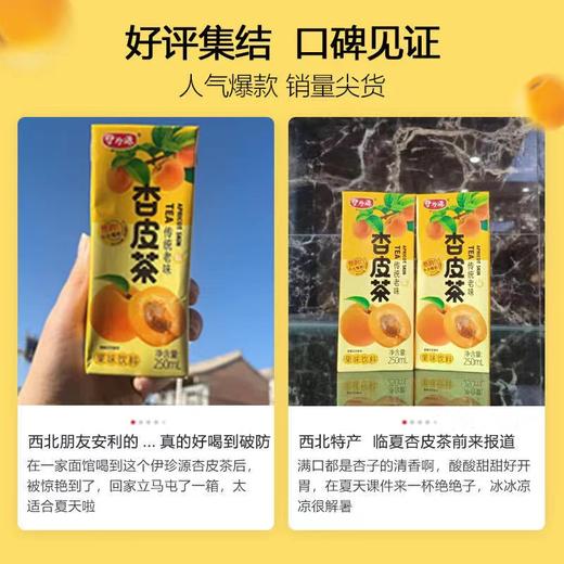 临夏伊珍源杏皮茶 250ML/盒*10盒装 全国包邮 商品图3