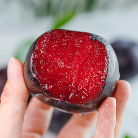 【玫瑰李】果肉红嫩多汁 香甜饱满 果香扑鼻 现摘现发 5斤装大果