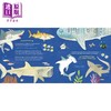【中商原版】Hello, World! Kids' Guides: Exploring Sharks兰登：你好科学小世界：鲨鱼 英文原版 进口图书 科普知识绘本 商品缩略图1