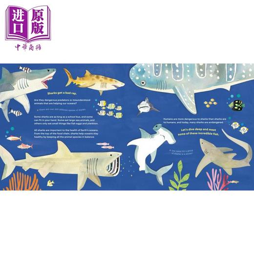 【中商原版】Hello, World! Kids' Guides: Exploring Sharks兰登：你好科学小世界：鲨鱼 英文原版 进口图书 科普知识绘本 商品图1