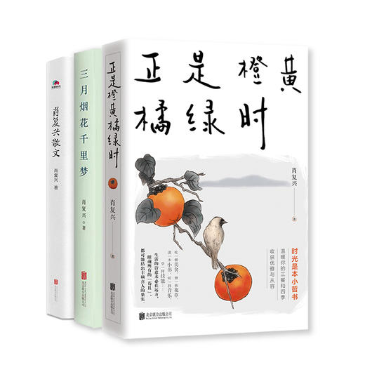 正是橙黄橘绿时+三月烟花千里梦+肖复兴散文 3册套装，解压放松用文字温暖你我 商品图1