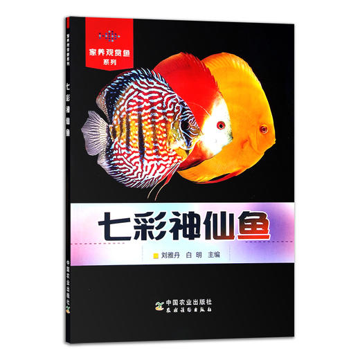 七彩神仙鱼(家养观赏鱼系列) 观赏鱼类 养殖 30490 商品图1