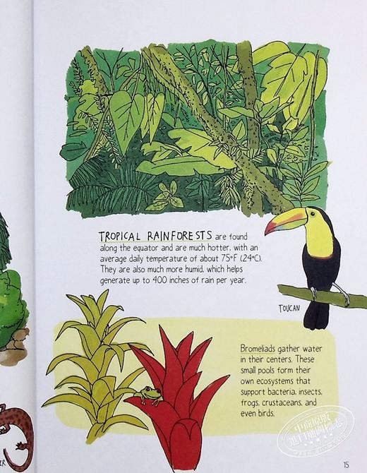 【中商原版】Julia Rothman 野外生活解剖学 Wildlife Anatomy 手绘书 大自然解剖书科普书绘本作者 英文原版 百科 自然 科学 商品图6