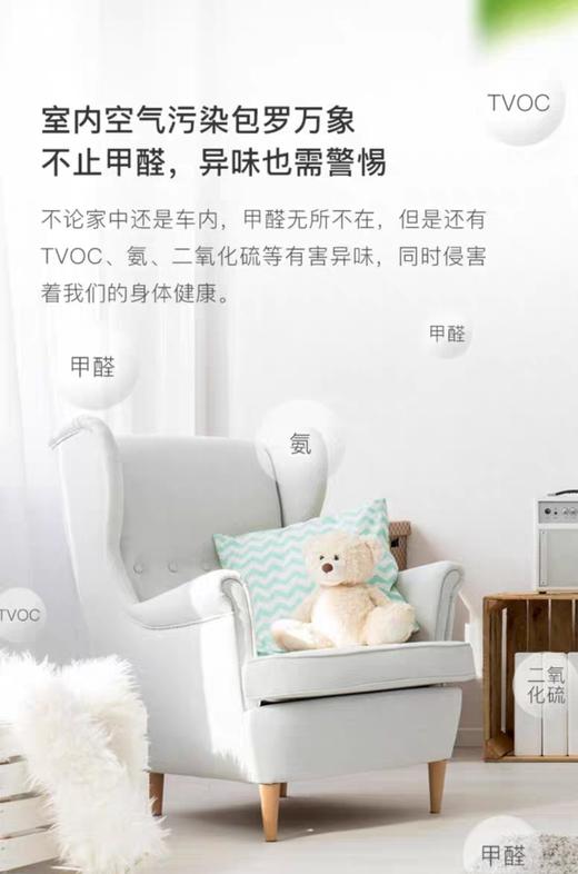 蛙田技研日本除甲醛清除剂强力型去除异味喷雾除装修异味家用车用200ml(2024年8月) 商品图3