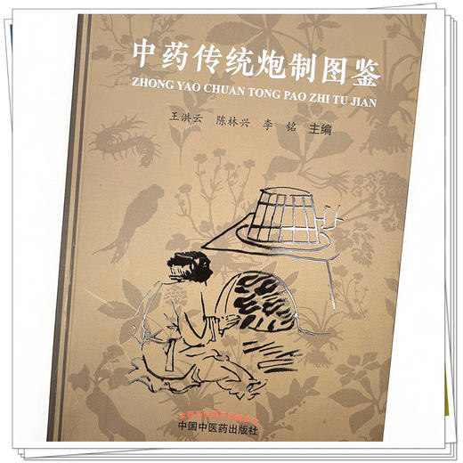 中药传统炮制图鉴 王洪云 陈林兴 李铭 主编 中国中医药出版社 中药 炮制 彩图 书籍 商品图3