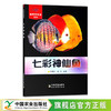 七彩神仙鱼(家养观赏鱼系列) 观赏鱼类 养殖 30490 商品缩略图0