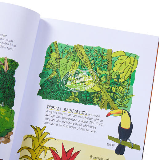 【中商原版】Julia Rothman 野外生活解剖学 Wildlife Anatomy 手绘书 大自然解剖书科普书绘本作者 英文原版 百科 自然 科学 商品图4