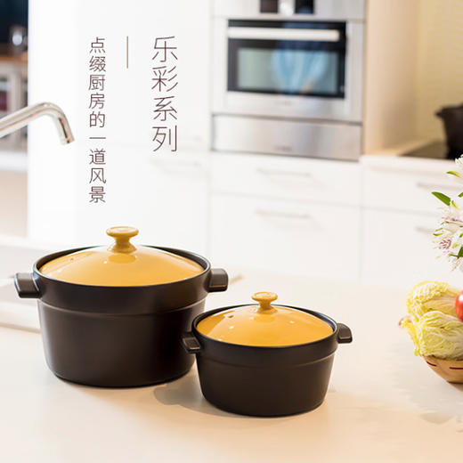 陆宝彩色陶瓷锅煮饭煲汤家用节能时尚单盖陶瓷锅砂锅送礼 洋风乐彩锅 商品图5