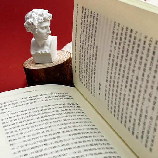 论海德格尔 快与慢  冯·海尔曼 弗朗西斯科·阿费利著 商品图10