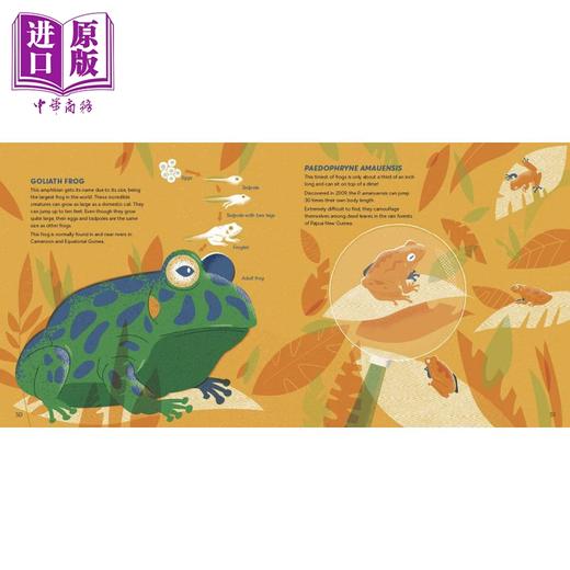 【中商原版】Amazing Animals Around the World 惊奇的各国动物 英文原版 进口图书 儿童科普绘本 动物百科知识图书 自然科学 商品图3