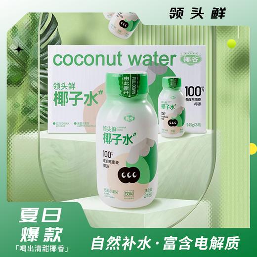 椰谷椰子水鲜榨100%纯椰汁245g*8瓶整箱椰青果汁电解质饮料 商品图0