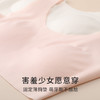 少女无尺码文胸NZFDC301 商品缩略图2