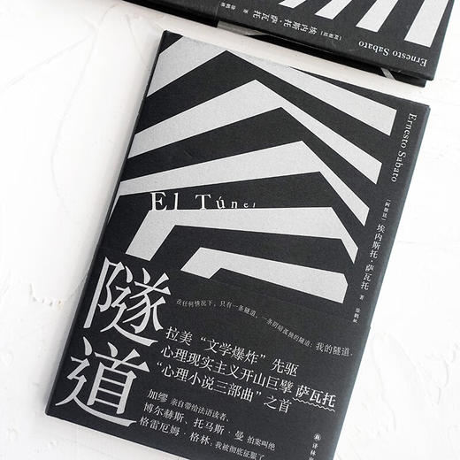隧道 埃内斯托·萨瓦托 著 小说 商品图1