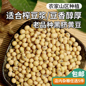 【杂粮】农家老品种黑脐黄豆  生态种植  颗粒饱满  豆香浓郁  黄豆 400g