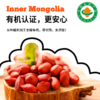 内蒙古有机花生，一枚花生，结4粒果 商品缩略图4