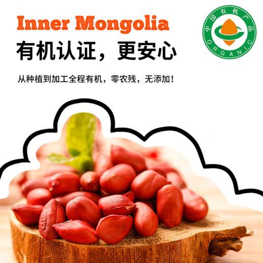 内蒙古有机花生，一枚花生，结4粒果 商品图4