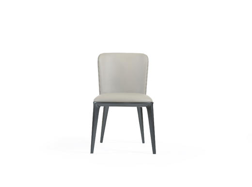 Platsa 餐椅 | 皮布面料，后围涂装可选，详询客服 商品图4