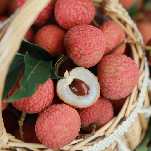 高州荔枝白糖罂5斤左右 商品图0