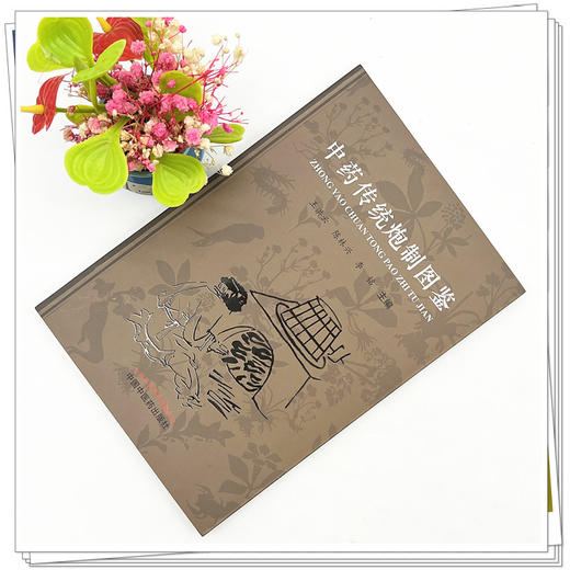 中药传统炮制图鉴 王洪云 陈林兴 李铭 主编 中国中医药出版社 中药 炮制 彩图 书籍 商品图1