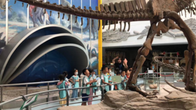 武汉六一奥绿新专场——玩转博物馆