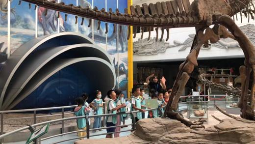 武汉六一奥绿新专场——玩转博物馆 商品图0