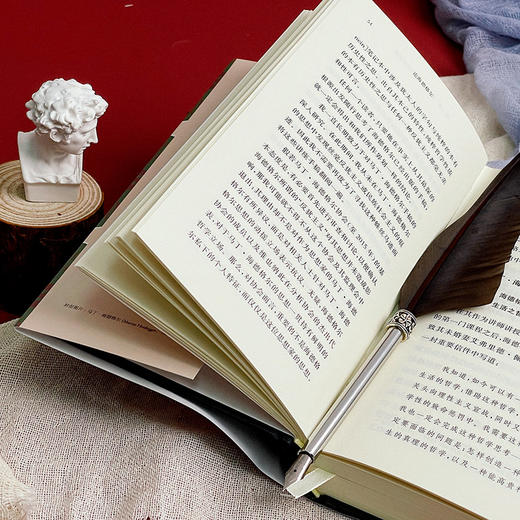 论海德格尔 快与慢  冯·海尔曼 弗朗西斯科·阿费利著 商品图6