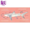 【中商原版】Hello, World! Kids' Guides: Exploring Sharks兰登：你好科学小世界：鲨鱼 英文原版 进口图书 科普知识绘本 商品缩略图3
