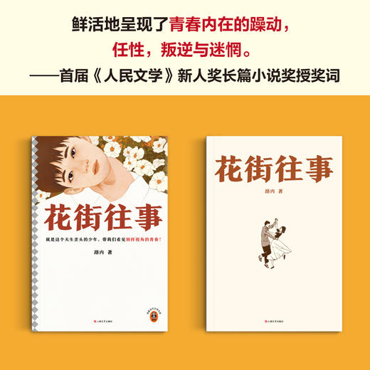 读客花街往事（这个天生歪头的少年，带我们看见别样视角的青春！路内） 商品图4