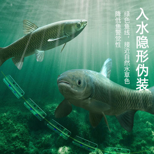 新品狂拉线组高强度拉力鱼线 商品图3