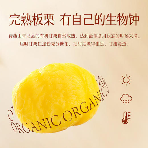 新农哥营养有机香甜软糯甘栗仁开袋即食60g*7袋 商品图1