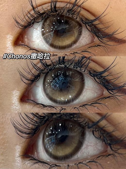 Chonos品牌日抛-撒哈拉（10片/盒）只有0和800度 商品图9