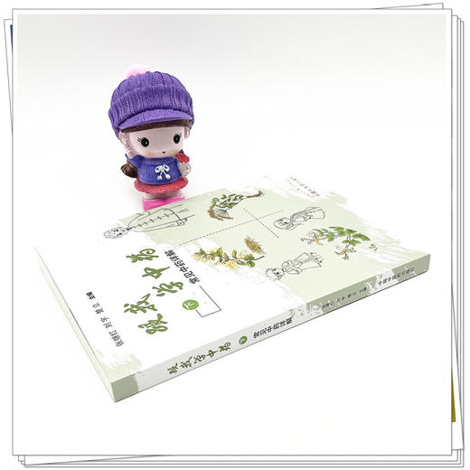 跟我学中药（下）常见中药详解  张继红 刘宇 楚立 著 中国中医药出版社 中药学书籍 商品图3