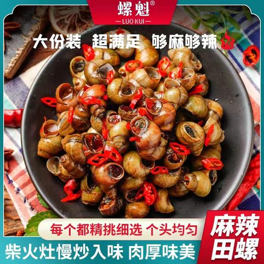 拼团|螺魁麻辣田螺   鲜味十足  肉质紧实  麻辣爽口  500g/袋*5袋 商品图2