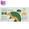【中商原版】Amazing Animals Around the World 惊奇的各国动物 英文原版 进口图书 儿童科普绘本 动物百科知识图书 自然科学 商品缩略图4