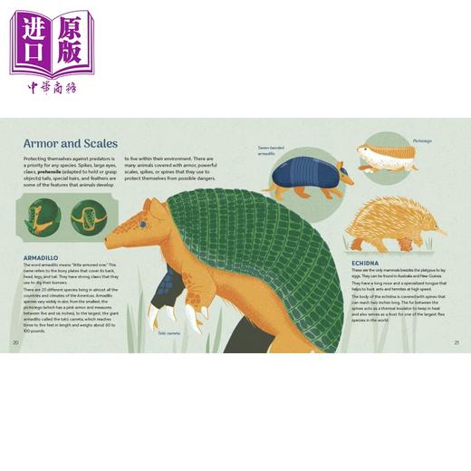 【中商原版】Amazing Animals Around the World 惊奇的各国动物 英文原版 进口图书 儿童科普绘本 动物百科知识图书 自然科学 商品图4