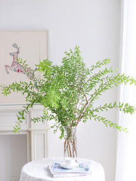 【周四秒杀】意境瓶插雪柳叶一份29.8元