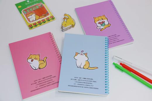 番茄口袋原创线圈本 商品图13