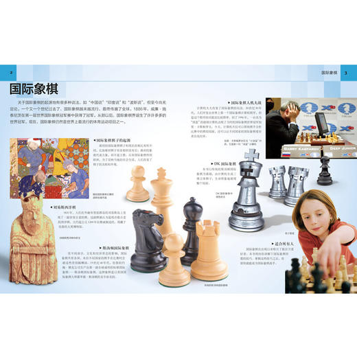 DK少儿国际象棋 6-12岁 克莱尔·萨默斯凯尔 著 科普百科 商品图1