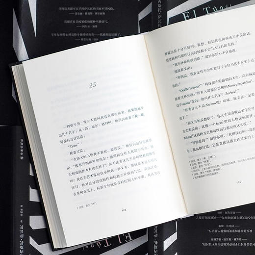 隧道 埃内斯托·萨瓦托 著 小说 商品图2