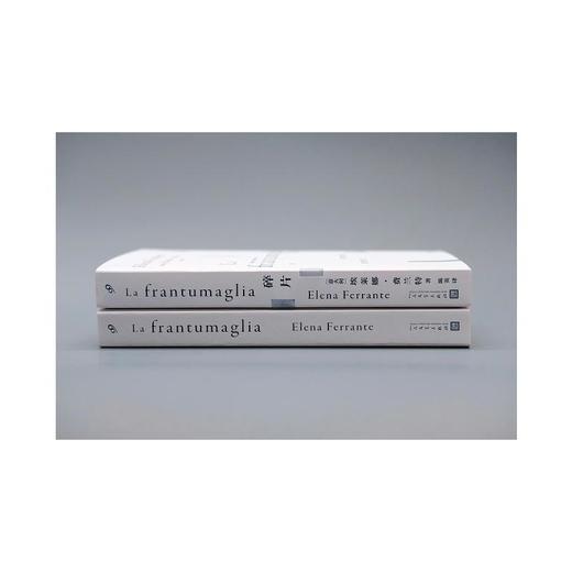 埃莱娜·费兰特作品集(偶然的创造+烦人的爱+成年人的谎言生活+碎片)(全4册)  商品图2