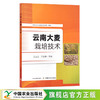 云南大麦栽培技术 王志龙 于亚雄 大麦种植 30067 商品缩略图0