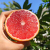 【南非红心西柚】| 水果中的红宝石，富含维生素，鲜嫩多汁爽口，在这个夏天，就要“柚”惑你~ 商品缩略图0