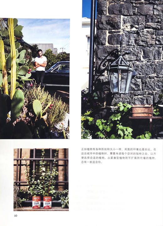 室内外小型空间植物造景【园艺学会】 商品图4