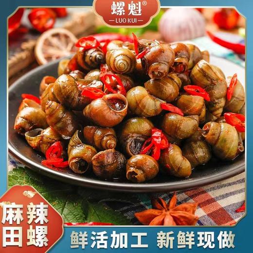 拼团|螺魁麻辣田螺   鲜味十足  肉质紧实  麻辣爽口  500g/袋*5袋 商品图1