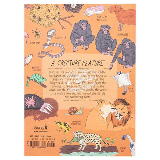 【中商原版】Julia Rothman 野外生活解剖学 Wildlife Anatomy 手绘书 大自然解剖书科普书绘本作者 英文原版 百科 自然 科学 商品图2