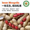 内蒙古有机花生，一枚花生，结4粒果 商品缩略图1